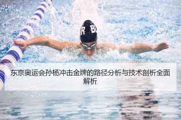 东京奥运会孙杨冲击金牌的路径分析与技术剖析全面解析