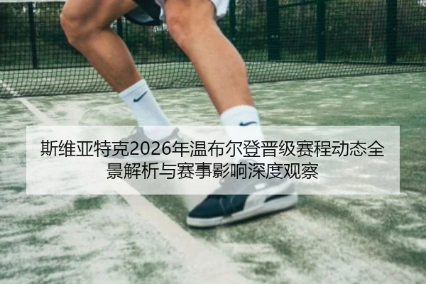 si-wei-ya-te-ke-nian-wen-bu-er-deng-jin-ji-sai-cheng-dong-tai-quan-jing-jie-xi-yu-sai-shi-ying-xiang-shen-du-guan-cha-2-229.jpg